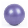 25cm Yoga Ball Exercise Fitness Pilates Balance Ball Exercise Gym Indoor Training Ball