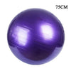 Yoga Ball Gymnastic Fitness Pilates Ball Balance Exercise Gym Indoor Fitness Training Yoga Core Ball 45-95CM Inflator Pump Free