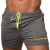 Men New Summer Fashion Casual Mesh Beach Shorts Gyms Fitness Bodybuilding Jogging Breathable Quick Dry Brand Mens Shorts