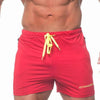 Men New Summer Fashion Casual Mesh Beach Shorts Gyms Fitness Bodybuilding Jogging Breathable Quick Dry Brand Mens Shorts