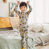 Baby Outfits Children Suit Clothing Set Pajamas Sets Kids Boys Girls Clothes Set Boy Pyjama Cotton Long Sleeve Sleepwear CA3461