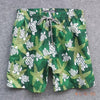 2019 Hot Brand Turtle Mens Surfing Beach Board Surf Shorts Bathing Trunks Fast Dry Summer Swimtrunks Wear Siwmwear