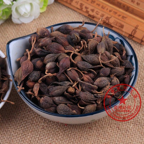 China Natural Green Organic Wild Forsythia Chinese traditional herbal medicine Dried Forsythia tea