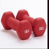1/2/3/4/5KG Women Dumbbell Fitness Yoga Slim Arm Children Universal