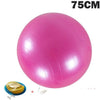 Yoga Balls Pilates Fitness Gym Massager point Balance Fitball Exercise Workout Ball 45/55/65/75/85CM with pump