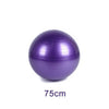 55/65/75cm Sports Yoga Balls Bola Pilates Fitness Ball Gym Balance Fitball Exercise Pilates Workout Massage Ball