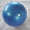 25cm Exercise Balls Gym Balance Training Yoga Ball Fitness Swiss Ball Anti Burst
