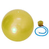 55cm Anti Burst Yoga Ball & Pump Gymnastic Fitness Pilates Swiss Ball Balance Exercise Gym Core Strength Indoor Training Fitball