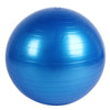 65CM Yoga Fitness Ball Explosion Yoga Gym Ball Thicken Overweight PVC Yoga Balance Ball