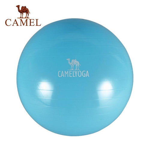 CAMEL Pilates Equipment Yoga Ball Anti-explo 55/65/75CM Fitness Gym Exercise Balance Gymnastic Peanut Indoor Strength Pump