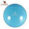 CAMEL Pilates Equipment Yoga Ball Anti-explo 55/65/75CM Fitness Gym Exercise Balance Gymnastic Peanut Indoor Strength Pump
