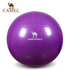 CAMEL Pilates Equipment Yoga Ball Anti-explo 55/65/75CM Fitness Gym Exercise Balance Gymnastic Peanut Indoor Strength Pump