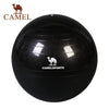 CAMEL Pilates Equipment Yoga Ball Anti-explo 55/65/75CM Fitness Gym Exercise Balance Gymnastic Peanut Indoor Strength Pump