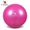 CAMEL Pilates Equipment Yoga Ball Anti-explo 55/65/75CM Fitness Gym Exercise Balance Gymnastic Peanut Indoor Strength Pump