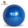 CAMEL Pilates Equipment Yoga Ball Anti-explo 55/65/75CM Fitness Gym Exercise Balance Gymnastic Peanut Indoor Strength Pump
