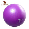 CAMEL Pilates Equipment Yoga Ball Anti-explo 55/65/75CM Fitness Gym Exercise Balance Gymnastic Peanut Indoor Strength Pump