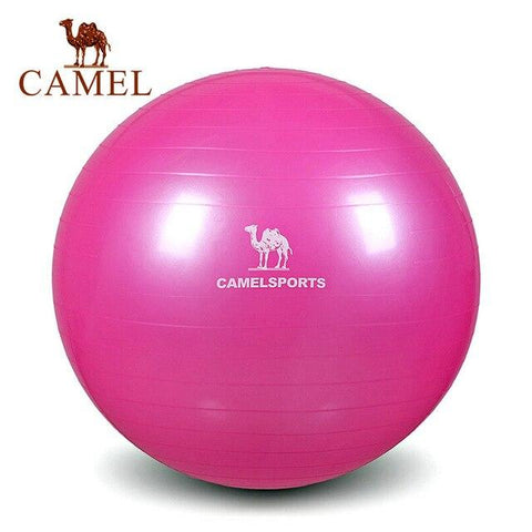 CAMEL Pilates Equipment Yoga Ball Anti-explo 55/65/75CM Fitness Gym Exercise Balance Gymnastic Peanut Indoor Strength Pump