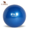 CAMEL Pilates Equipment Yoga Ball Anti-explo 55/65/75CM Fitness Gym Exercise Balance Gymnastic Peanut Indoor Strength Pump