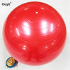 65cm Yoga Fitness Balls For Sport Exercise Gym Balance Balls PVC Yoga Balls Pilates Balls Workout Gym With Pump Fitness Balls