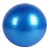 65CM Yoga Fitness Ball Explosion Yoga Gym Ball Thicken Overweight PVC Yoga Balance Ball