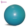 [QUBABOBO] 65cm High Quality Inflatable Dedicated Yoga Ball Pilates Balance Ball Fitness Exercise Sports Training Non-slip Ball