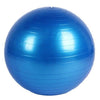 Fitness Massage Ball Bouncing Ball Gymnastic Exercise Yoga Balance Ball 55cm/21.7inch