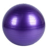 Fitness Massage Ball Bouncing Ball Gymnastic Exercise Yoga Balance Ball 55cm/21.7inch