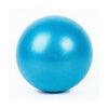25cm PVC Mini Yoga Ball Physical Fitness Gym Balls for Appliance Exercise Balance Ball Home Trainer Pods Pilates CrossFit
