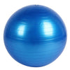 65CM Yoga Fitness Ball Explosion Yoga Gym Ball Thicken Overweight PVC Yoga Balance Ball