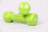 plastic 0.75*2kg dip multicolour in dumbbell child home fitness sports equipment for wholesale kylin sport