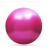 21Inch 55CM High Strength Anti-Burst Exercise Yoga Ball Eco-PVC Multi Gym Workout Fitness Training Stability Balance Balls