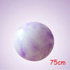 55cm/65cm/75cm Rosy Clouds Yoga Ball PVC Fitball High-quality Pilates Exercise Balance Ball Fitness Ball Explosion-proof Ballon