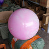 2018 Newest 55cm/65cm/75cm Yoga Ball Pilates Balance Balls For Women And Men Pregnant Weight Loss Fitness GYM Equipment fitball