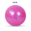 Sports Yoga Balls Exercise Stability Ball Pilates Fitness Gym Balance Strength Training Workout Massage Ball 45cm 55cm 65cm 75cm