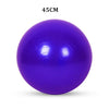 Sports Yoga Balls Exercise Stability Ball Pilates Fitness Gym Balance Strength Training Workout Massage Ball 45cm 55cm 65cm 75cm
