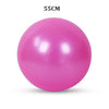 Sports Yoga Balls Exercise Stability Ball Pilates Fitness Gym Balance Strength Training Workout Massage Ball 45cm 55cm 65cm 75cm