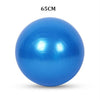Sports Yoga Balls Exercise Stability Ball Pilates Fitness Gym Balance Strength Training Workout Massage Ball 45cm 55cm 65cm 75cm