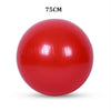 Sports Yoga Balls Exercise Stability Ball Pilates Fitness Gym Balance Strength Training Workout Massage Ball 45cm 55cm 65cm 75cm