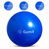 Yoga Ball Gym Fitness Equipment Exercise Balls Pilates Balance Strength 55/65CM Air Pump