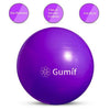Yoga Ball Gym Fitness Equipment Exercise Balls Pilates Balance Strength 55/65CM Air Pump