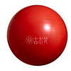 Yoga Ball Gym Fitness Equipment Exercise Balls Pilates Balance Strength 55/65CM Air Pump