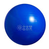 Yoga Ball Gym Fitness Equipment Exercise Balls Pilates Balance Strength 55/65CM Air Pump