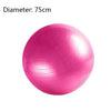 Exercise Yoga Ball with Free Air Pump 400 lbs Anti-Burst Slip-Resistant Balance Stability Swiss Ball for Fitness Core Strength
