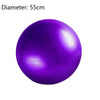 Exercise Yoga Ball with Free Air Pump 400 lbs Anti-Burst Slip-Resistant Balance Stability Swiss Ball for Fitness Core Strength