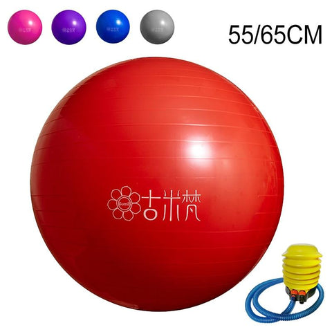 New Yoga Balls Gym Sports Pilates Fitness Ball Balance Fitball Exercise Workout Massage Ball 55cm 65cm