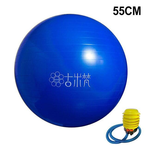 New Yoga Balls Gym Sports Pilates Fitness Ball Balance Fitball Exercise Workout Massage Ball 55cm 65cm
