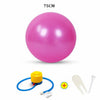 Sports Yoga Balls Bola Pilates Fitness Ball Gym Balance Fitball Exercise Pilates Workout Massage Ball with Pump 55cm 65cm 75cm
