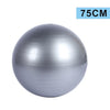 YOUGLE Sports Yoga Balls Bola Pilates Fitness Gym Balance Fitball Exercise Pilates Workout Massage Ball 55cm 65cm 75cm 85cm