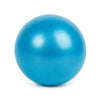 25cm PVC Mini Yoga Ball Fitness Ball Equipment Sports Balance Ball Family Coach Pod Pilates Indoor Weight Loss Training Ball