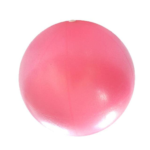 Sports Yoga Balls Bola Pilates Fitness Gym Balance Fitball Exercise Pilates Workout Massage Ball 25cm Core Indoor Training